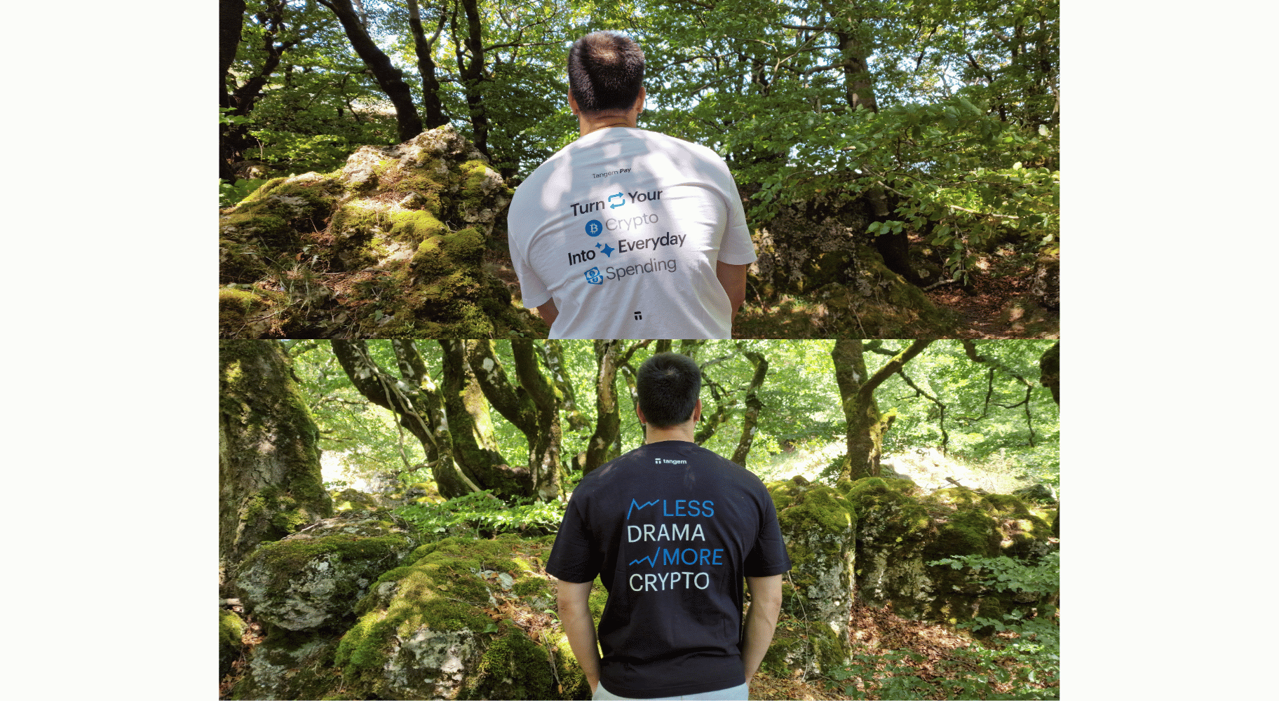 tangemcamisetas